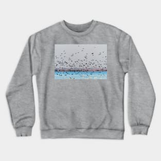 And Then The Cormorants Arrived Crewneck Sweatshirt